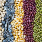 د اتوماتیک تخمونو بسته کولو ماشین